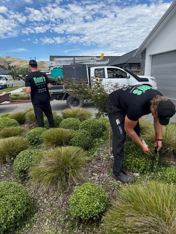 Ben's team garden care service